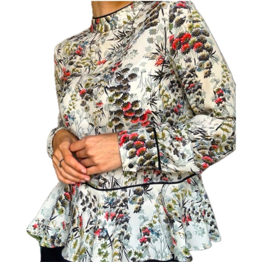Zara Floral chinoiserie Feminine Dainty Ruffle Blouse Size S